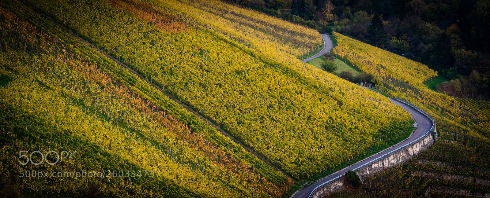 Sony a7 sample photo. Autumn colours photography