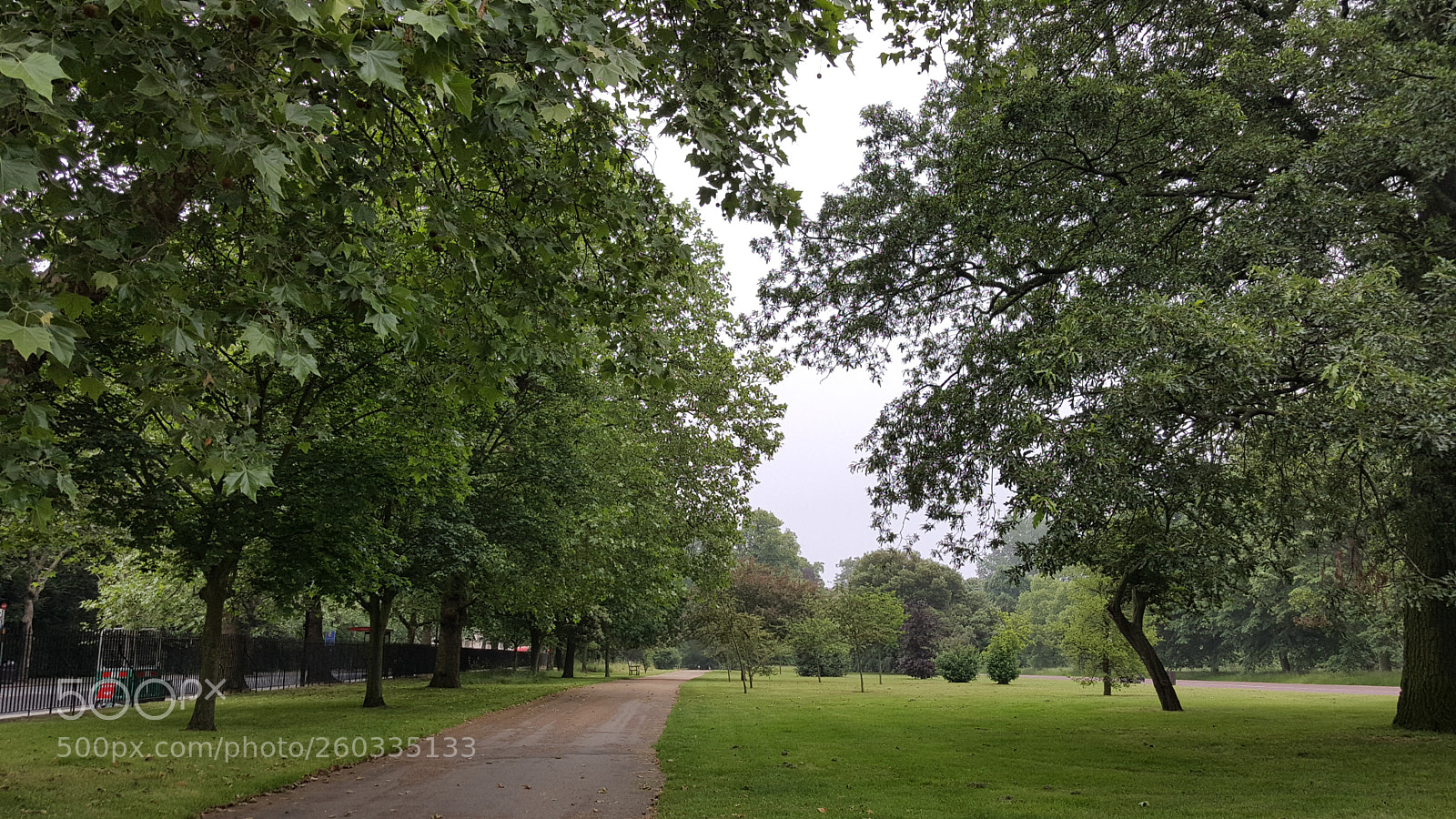 Samsung Galaxy S6 sample photo. Hyde park.jpg photography