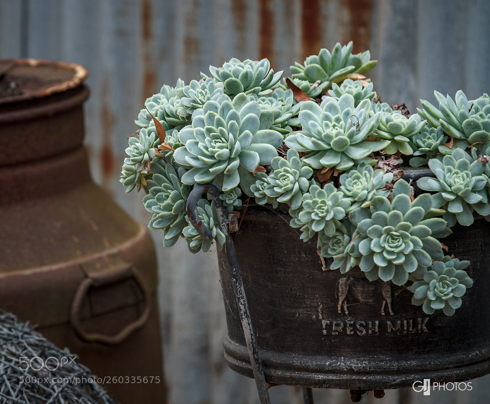 Canon EOS 60D sample photo. Fresh milk photography