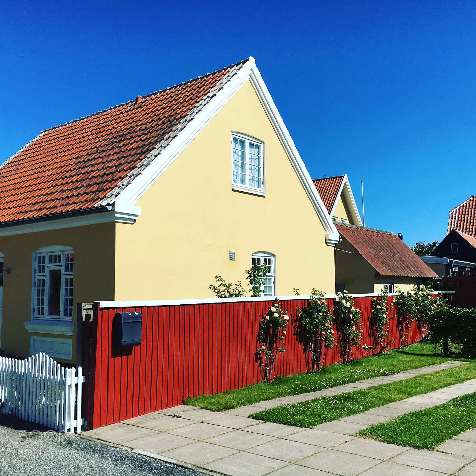 Apple iPhone 6s sample photo. Untitled photography