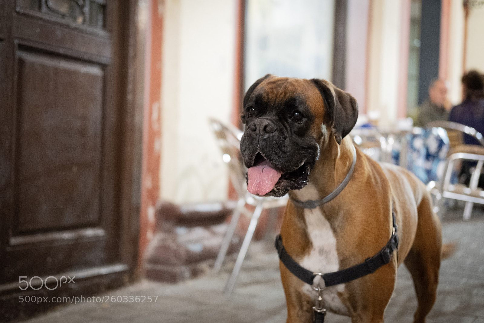 Fujifilm X-T20 sample photo. Awaiting photography