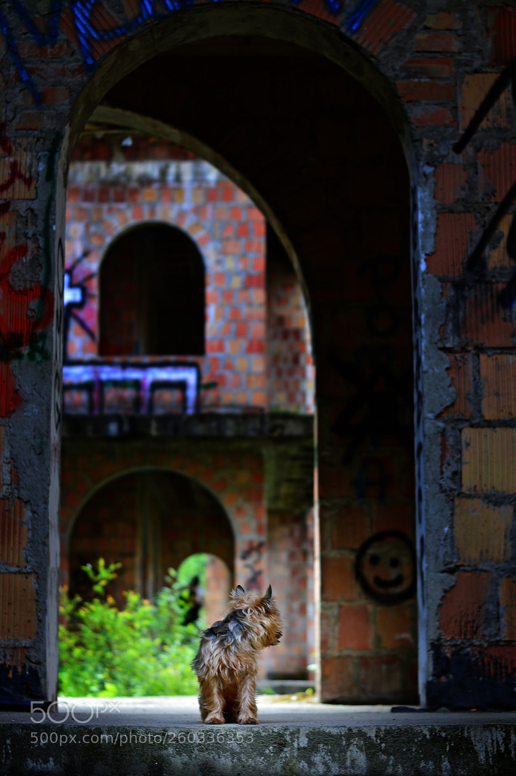 Nikon D3200 sample photo. Łapalice photography