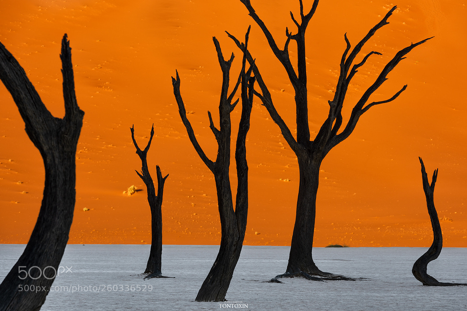 Nikon D810 sample photo. Desert ghost photography