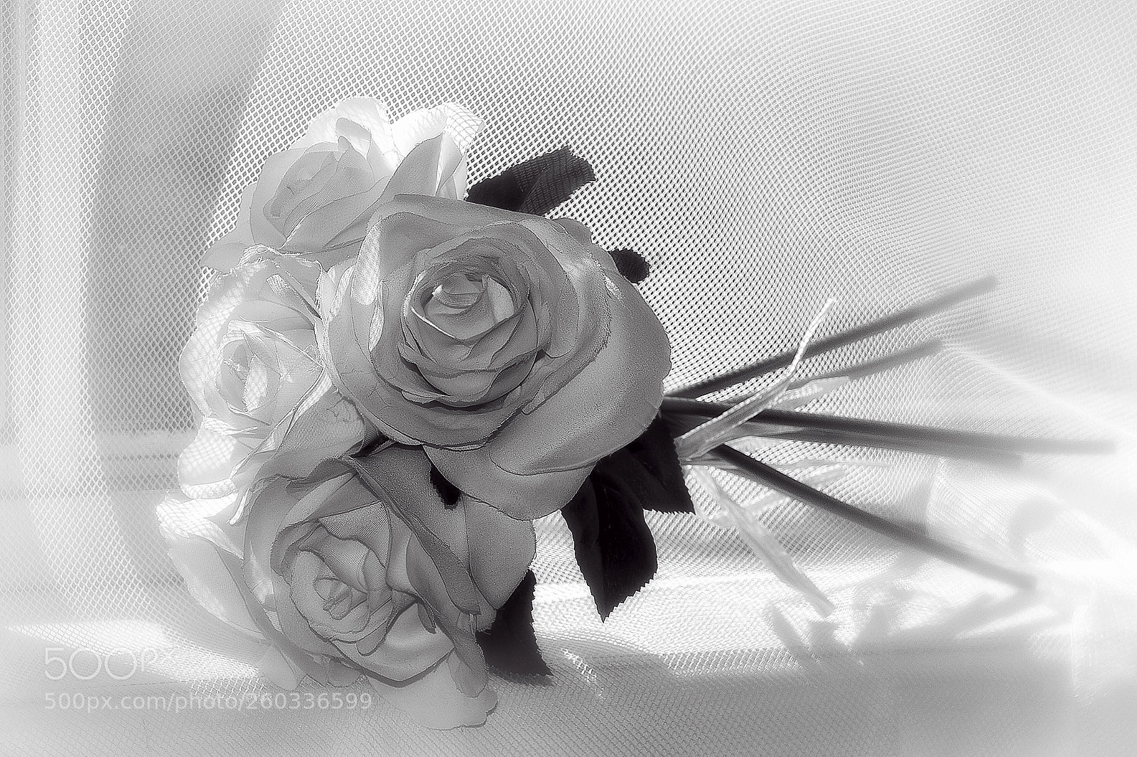 Canon EOS 60D sample photo. Dreamy roses photography