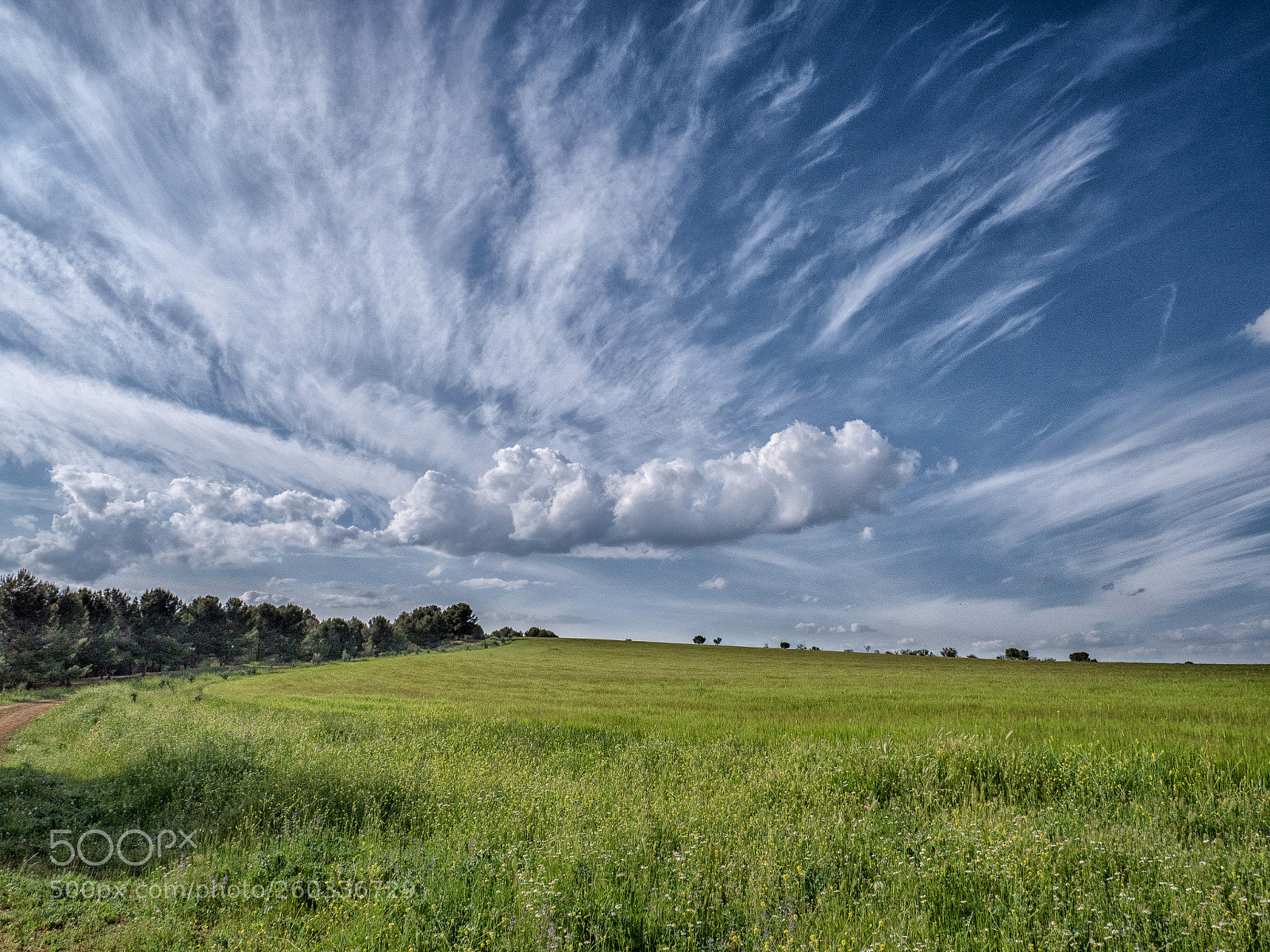 Panasonic Lumix DMC-GX8 sample photo. A cielo abierto photography