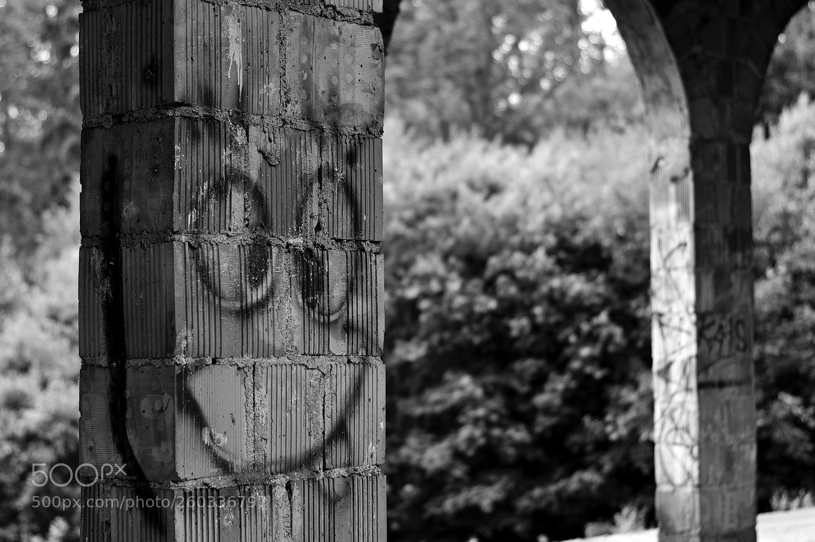 Nikon D3200 sample photo. Łapalice photography