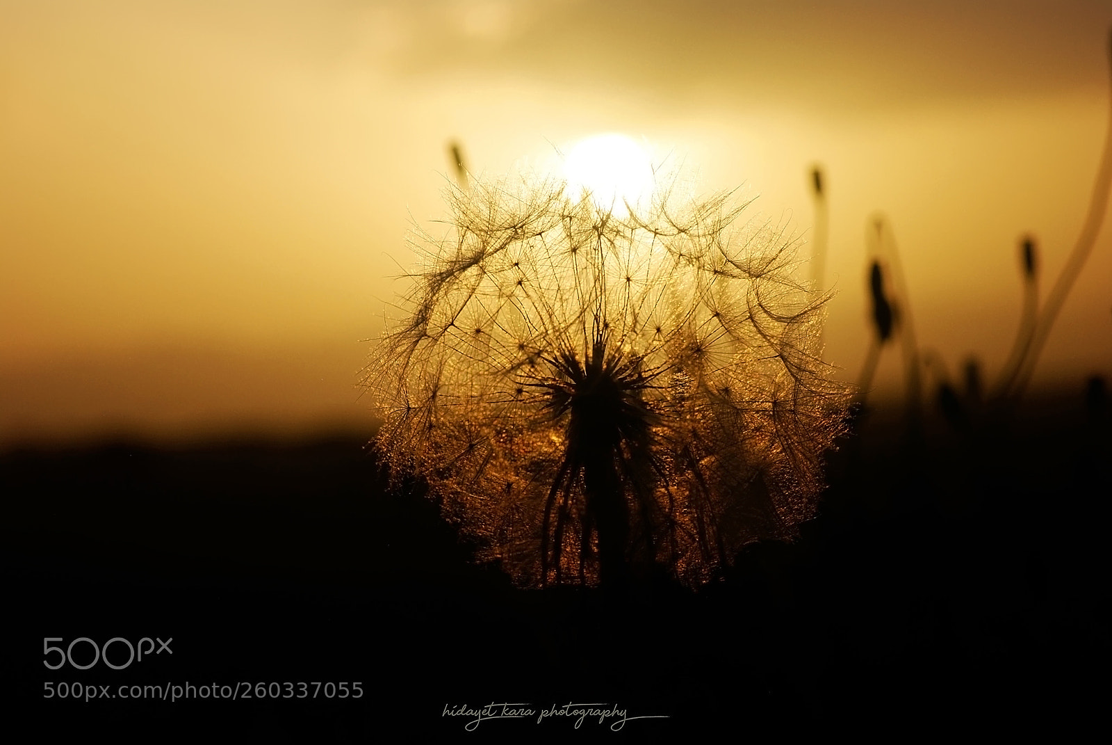 Nikon D80 sample photo. Sunset-3 photography