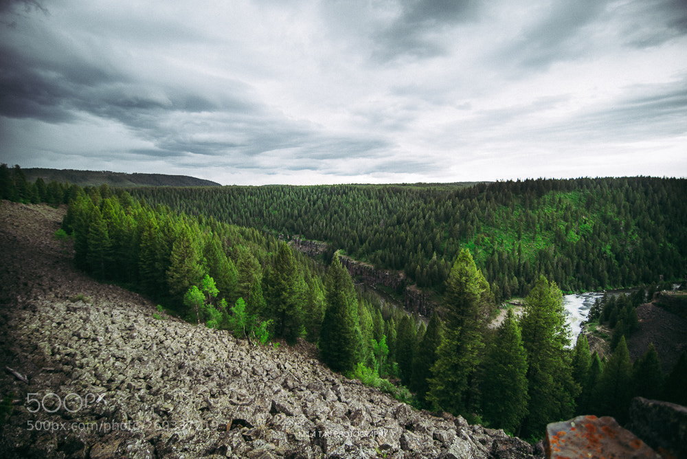 Nikon D750 sample photo. Out there photography
