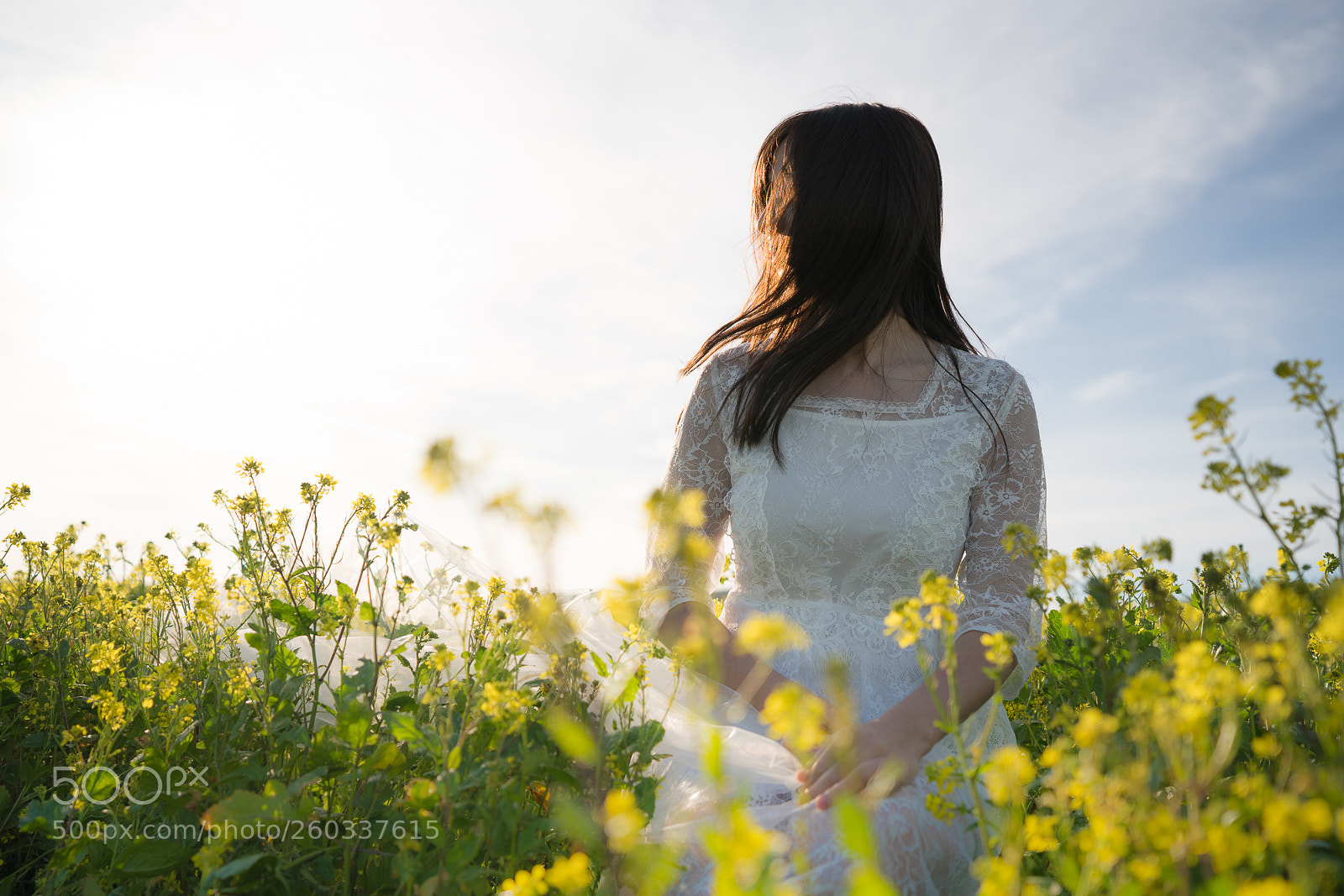 Sony a7R III sample photo. Glow. photography