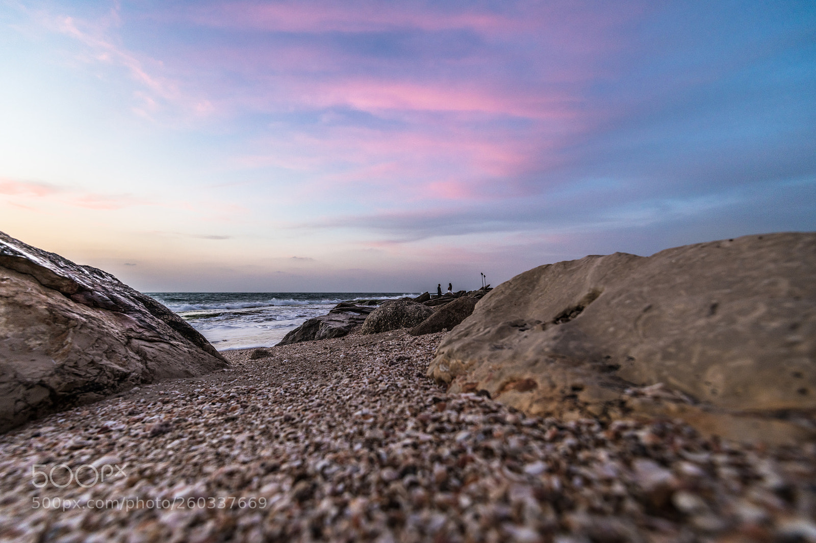 Nikon D850 sample photo. The path photography