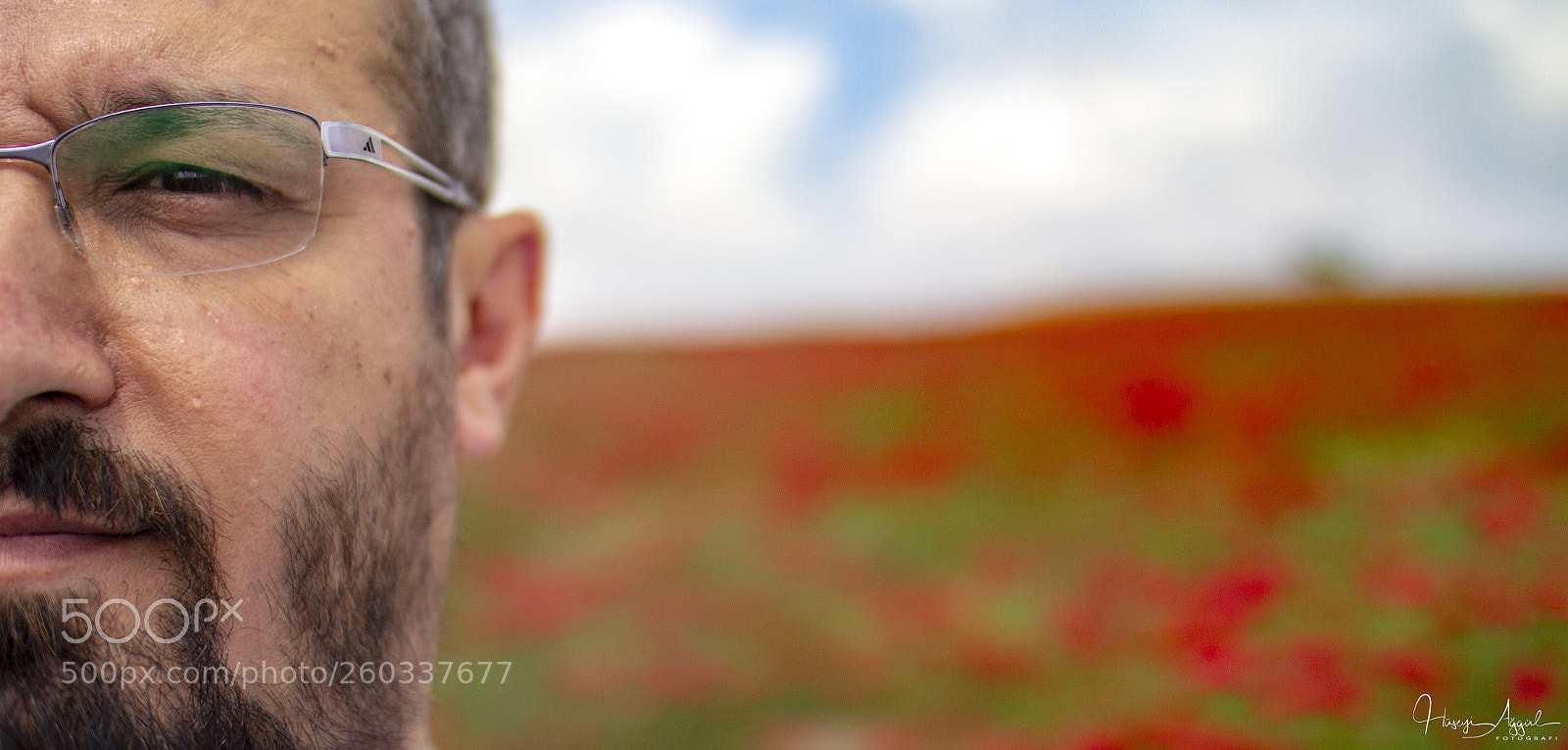 Canon EOS 60D sample photo. Untitled photography