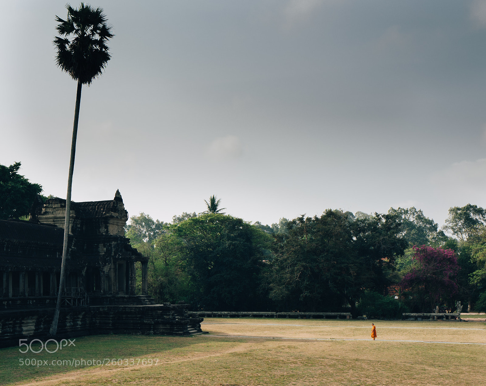 Leica Q (Typ 116) sample photo. The silence of angkor photography