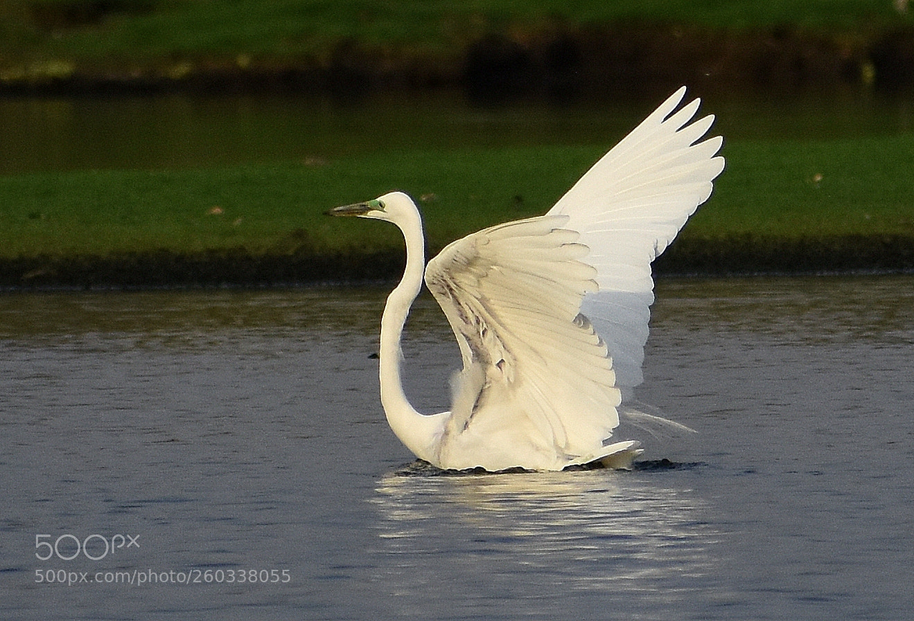 Nikon D7200 sample photo. Untitled photography