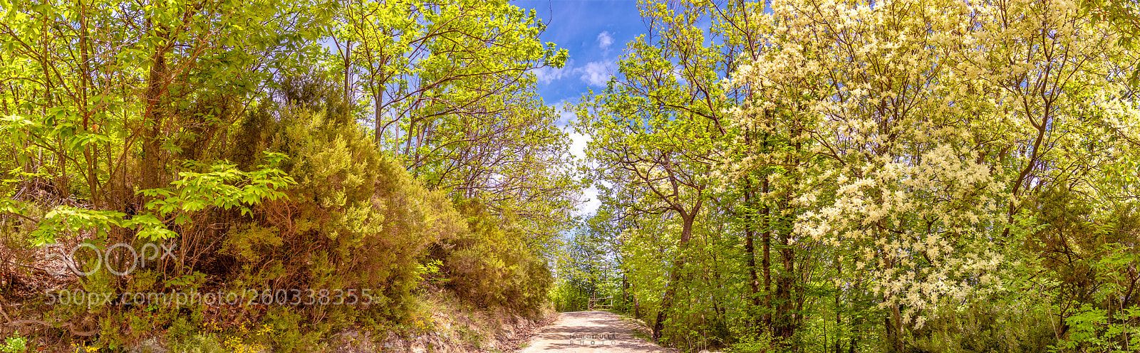 Nikon D7200 sample photo. Nature street - a photography
