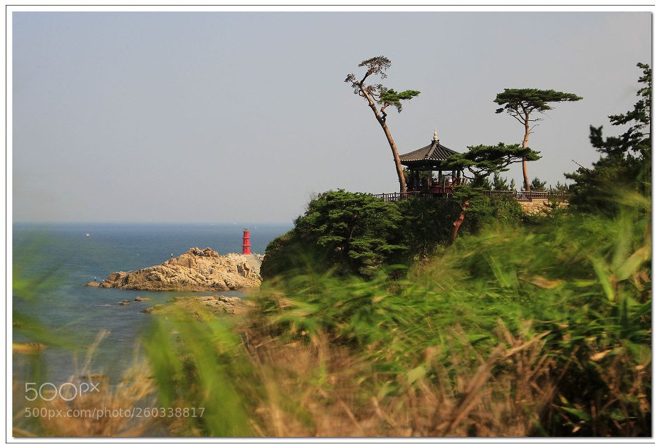 Canon EOS 60D sample photo. 바람부는 날(windy day) photography