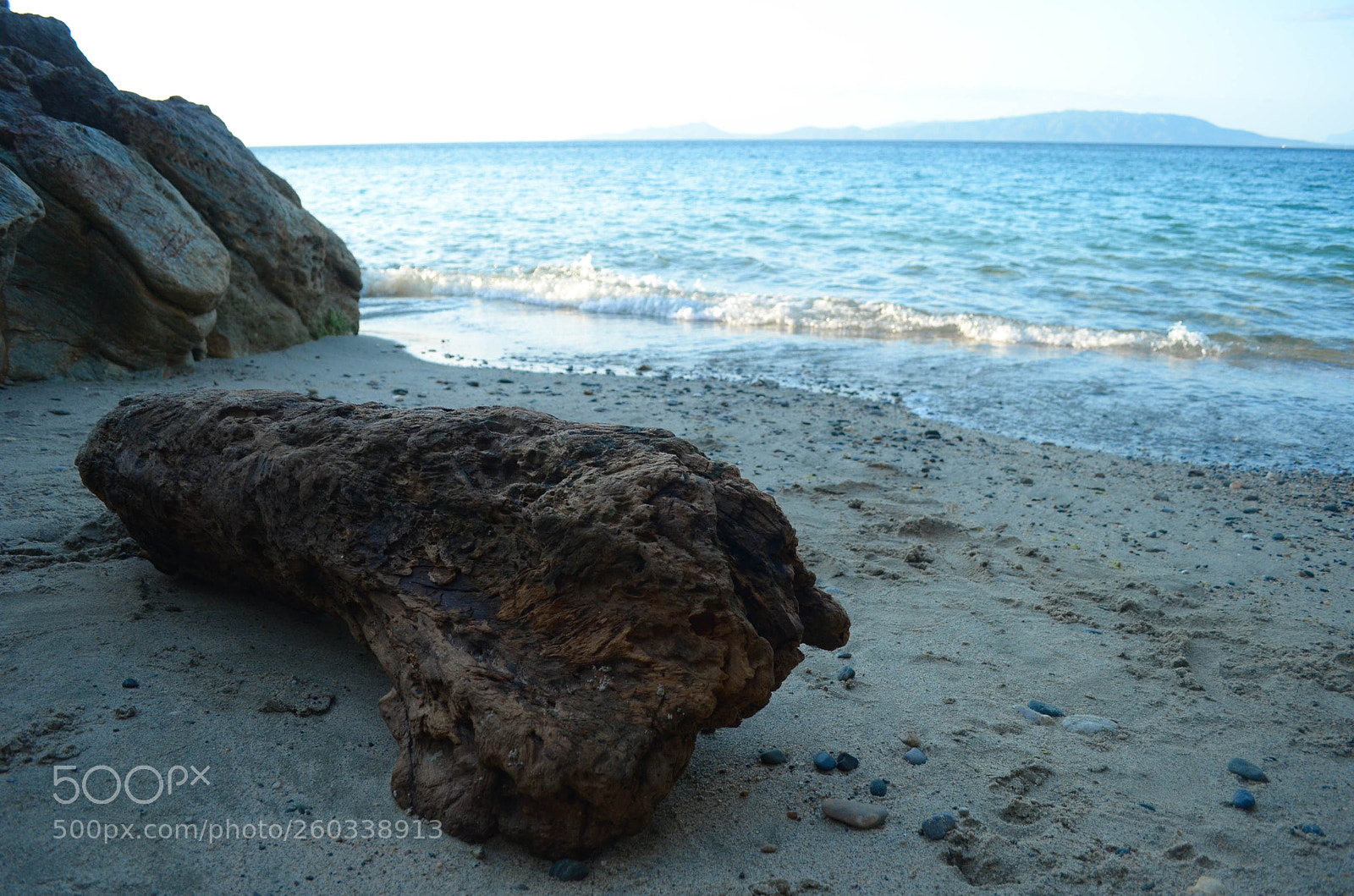 Nikon D5100 sample photo. Lone log photography