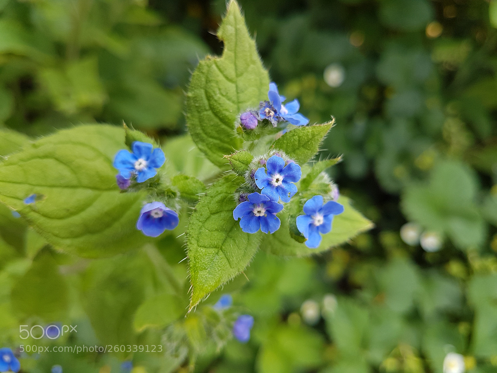 Samsung Galaxy S7 Edge sample photo. Untitled photography