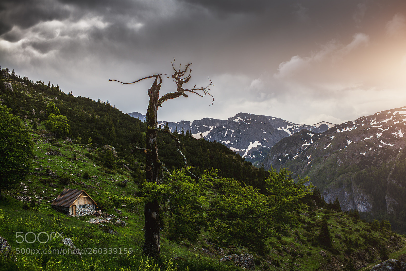 Nikon D800E sample photo. Montain house photography