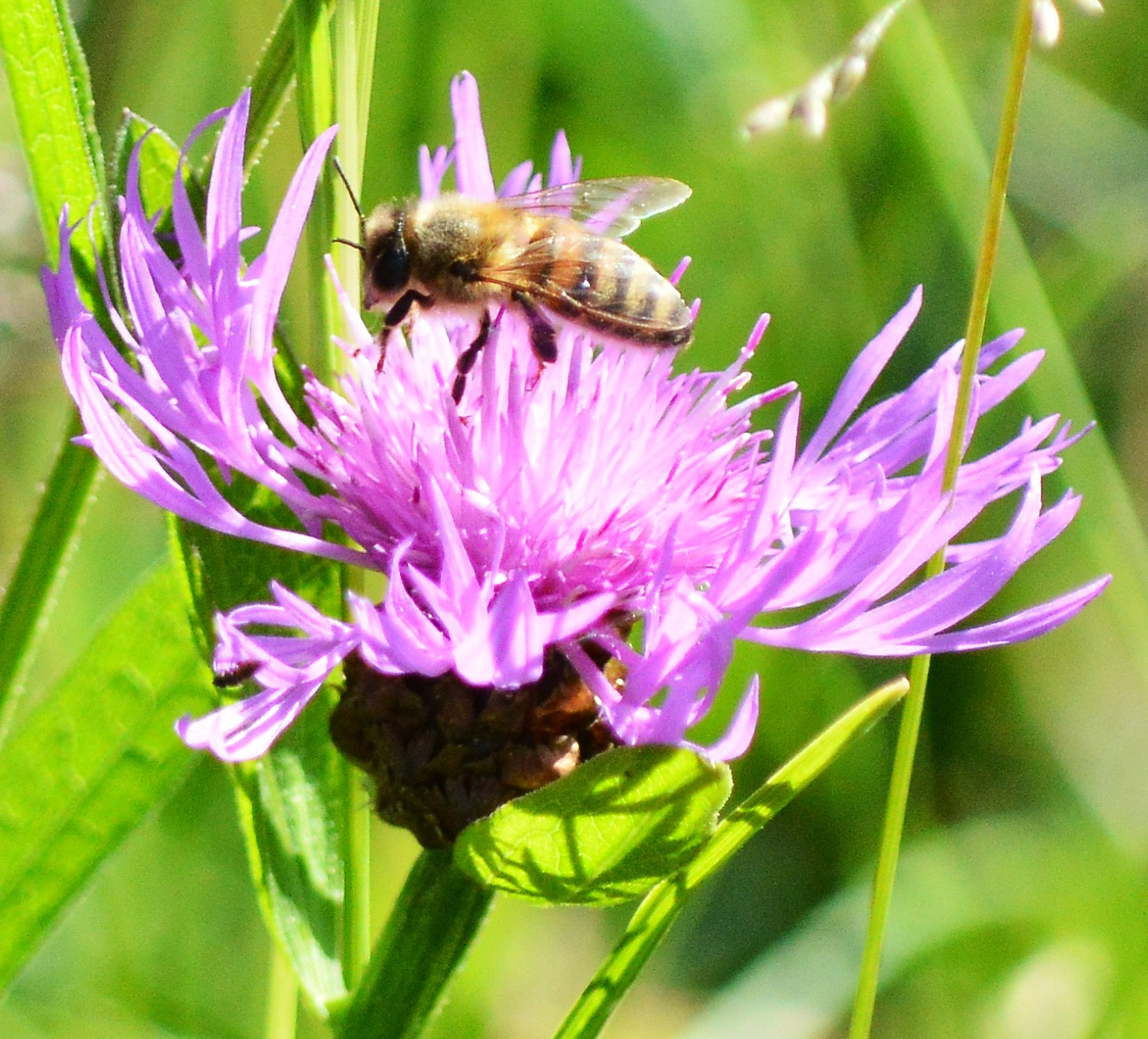 Nikon D3200 sample photo