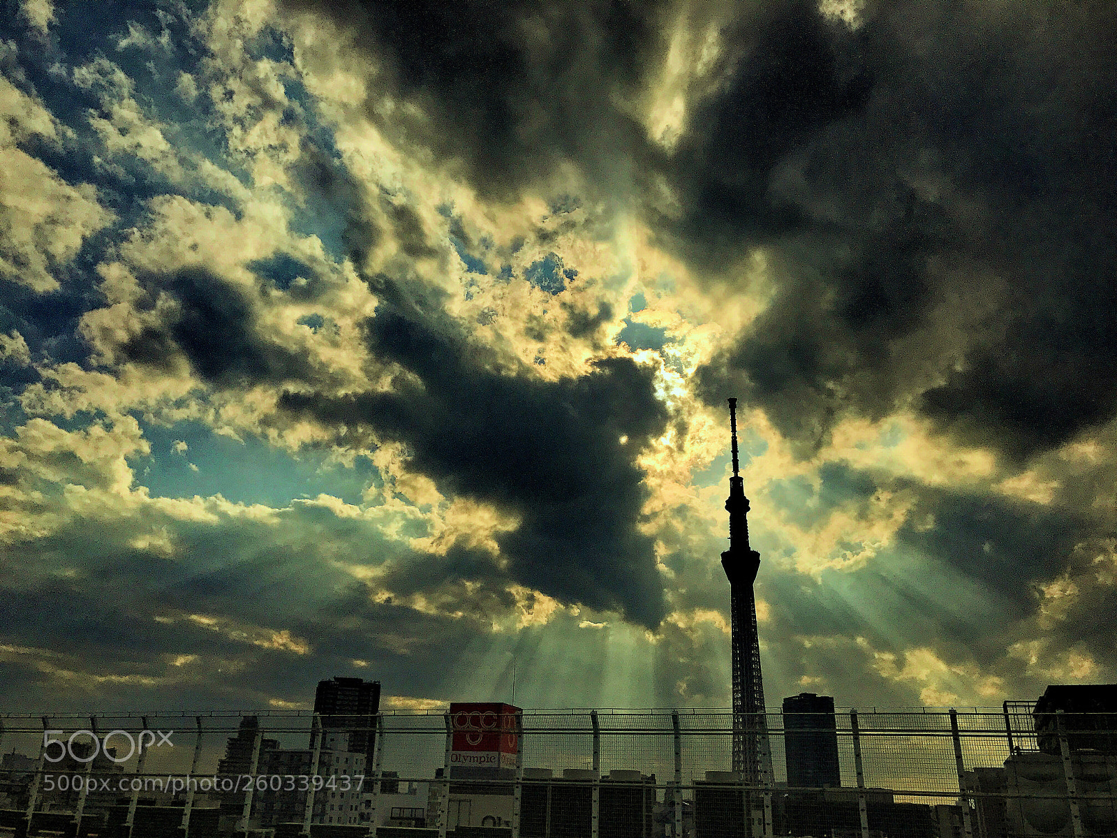 Apple iPhone 7 sample photo. Sky tree, tokyo photography