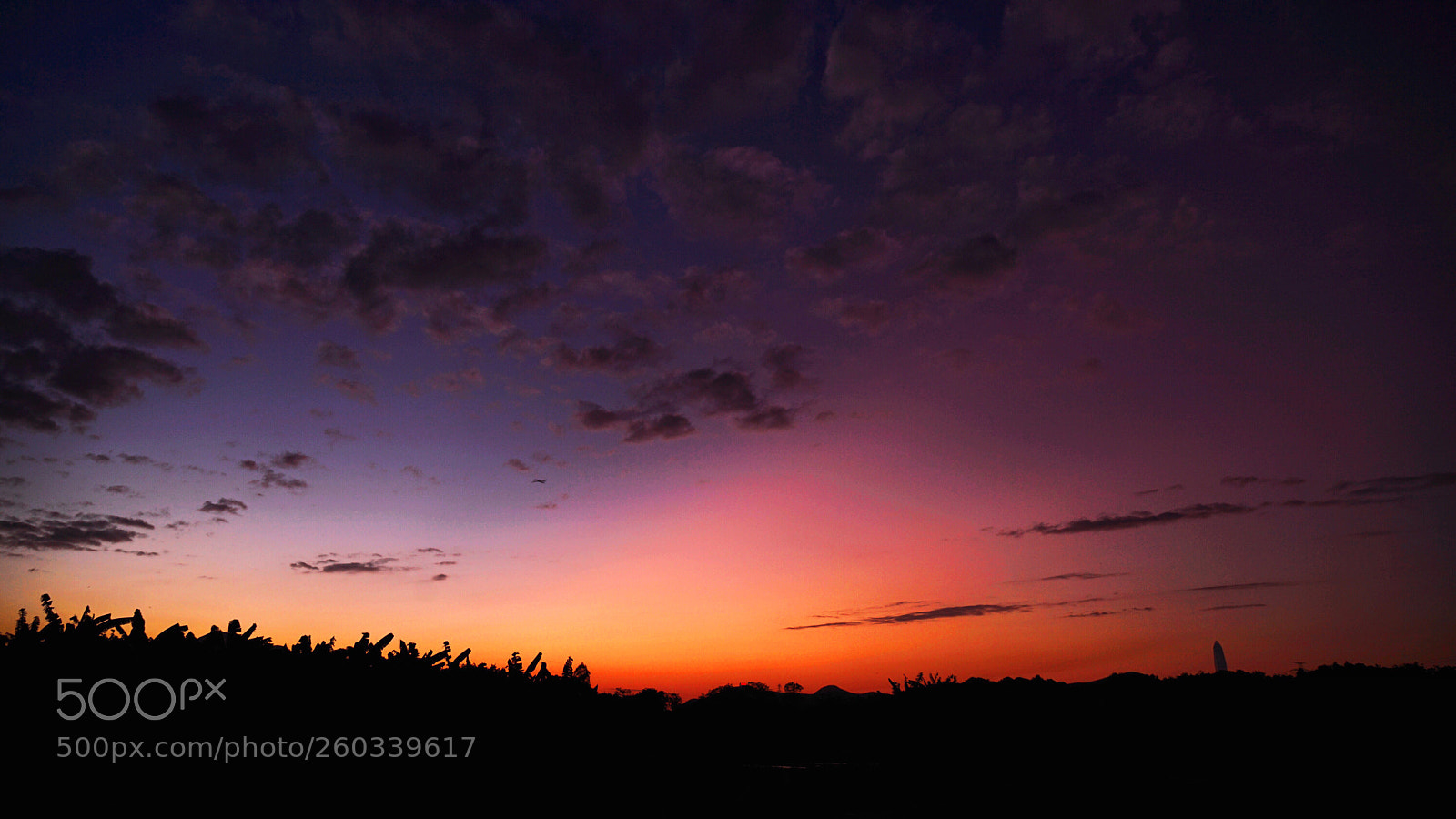 Sony a7 II sample photo. Sun goes down photography