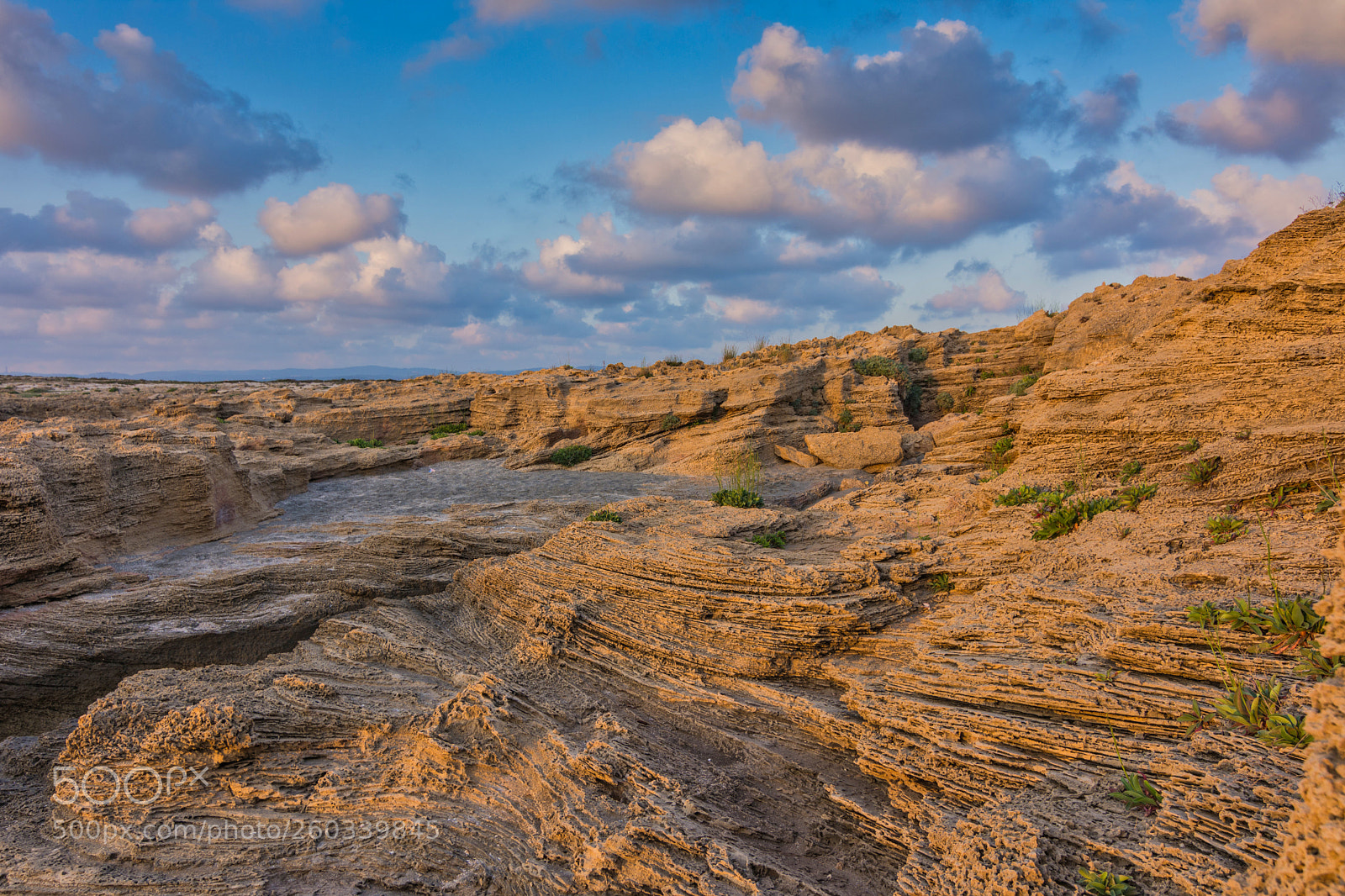 Nikon D7200 sample photo. The sandy beach of photography