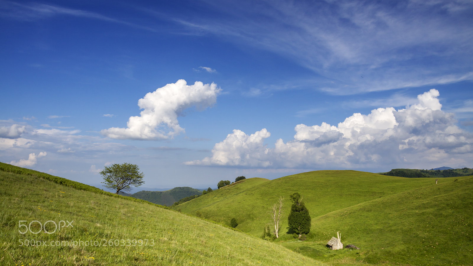 Canon EOS 50D sample photo. The blue sky feeling photography