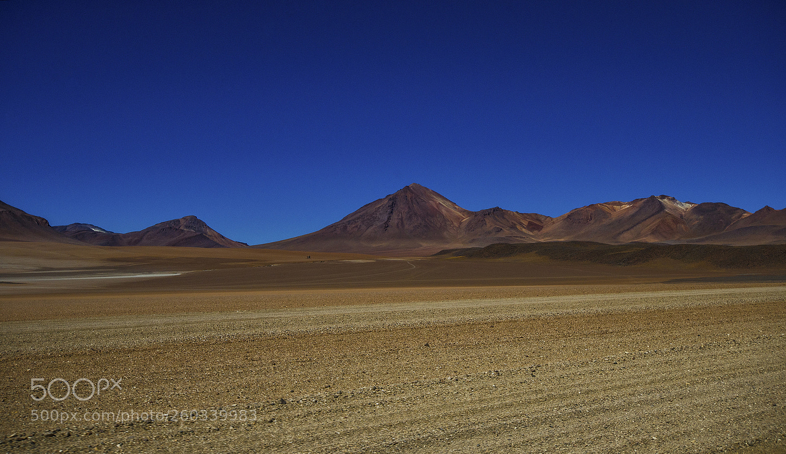 Nikon D7000 sample photo. Salvador dal desert dali photography