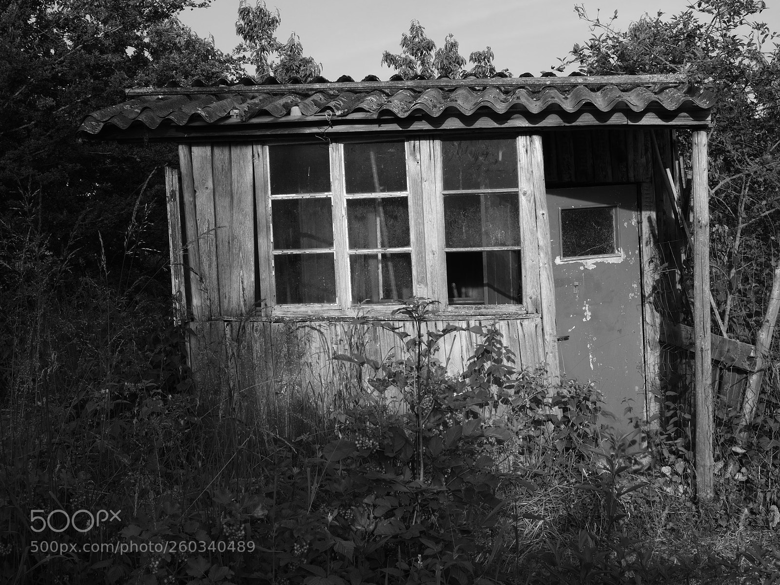 Olympus OM-D E-M10 II sample photo. In wehr. dinkelberg. shed photography