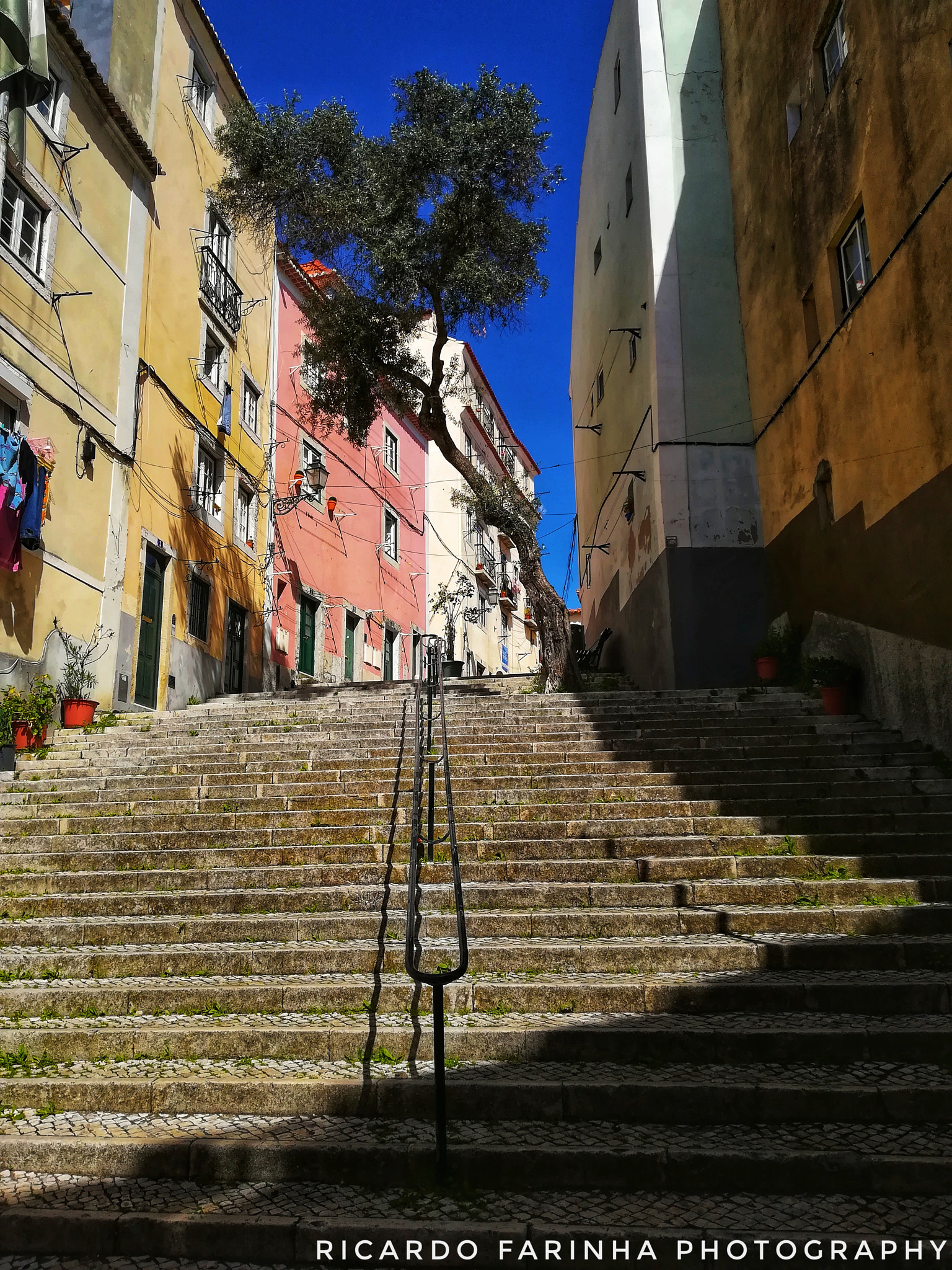HUAWEI PRA-LX1 sample photo. Dav photography