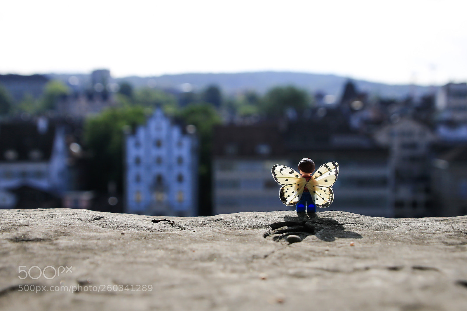 Canon EOS 6D sample photo. Learn to fly photography