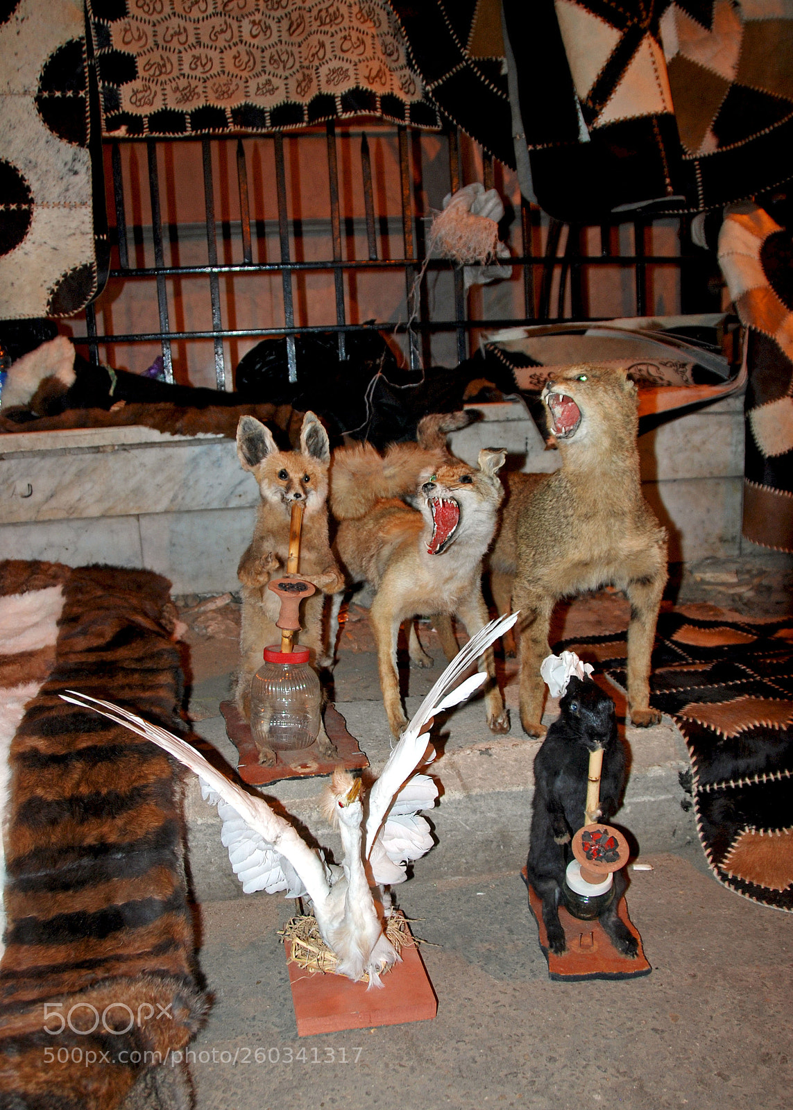 Nikon D80 sample photo. Cairo market. photography