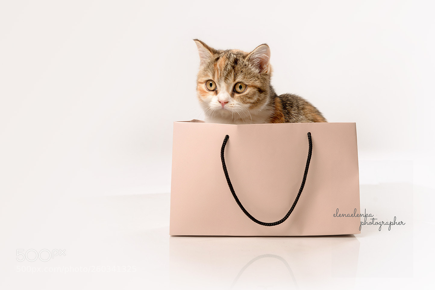 Nikon D610 sample photo. C jpg photography