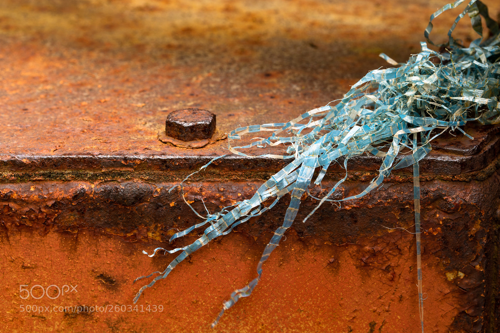 Canon EOS 5D Mark IV sample photo. Frayed ends photography