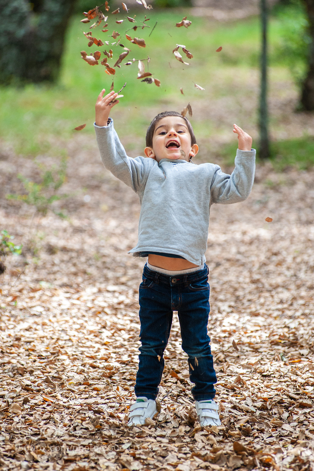 Nikon D700 sample photo. Untitled photography