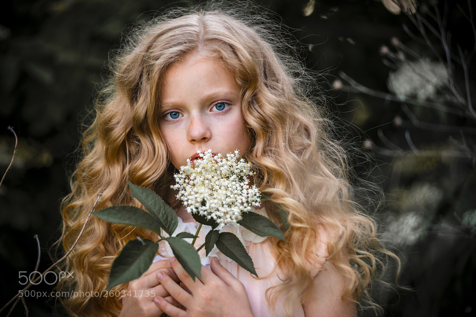 Nikon D610 sample photo. Girl with a flower photography