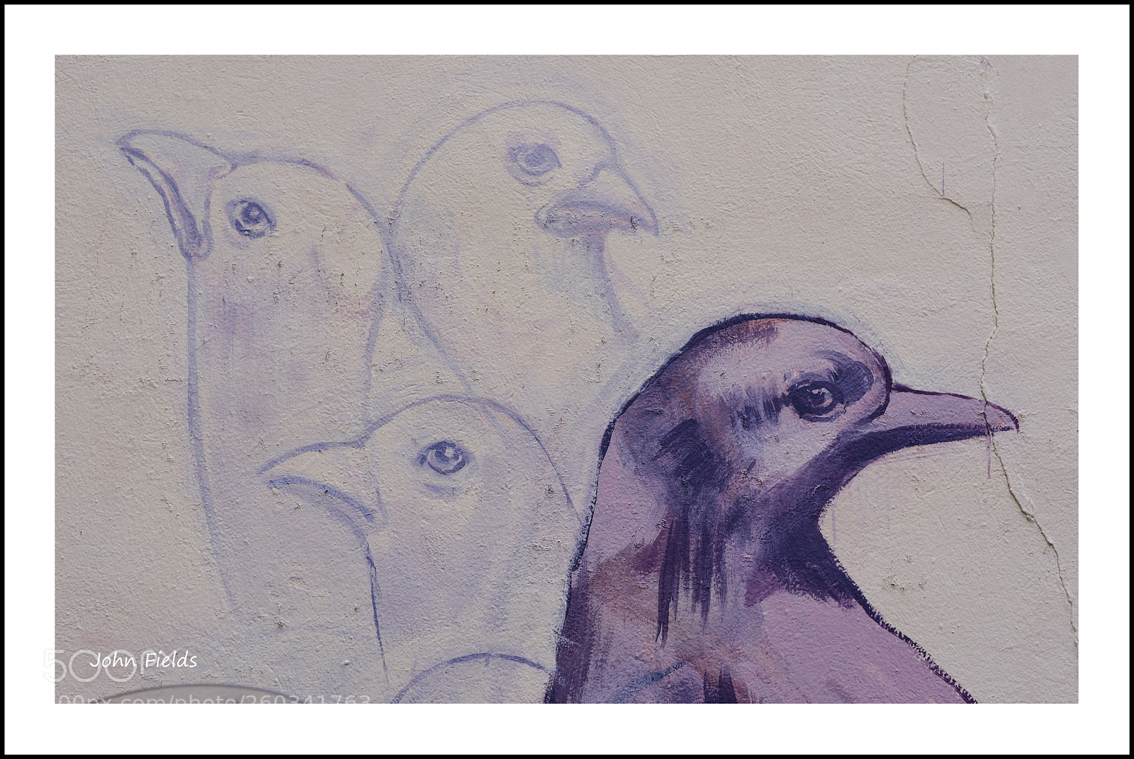 Nikon D800 sample photo. Street art (valència) photography