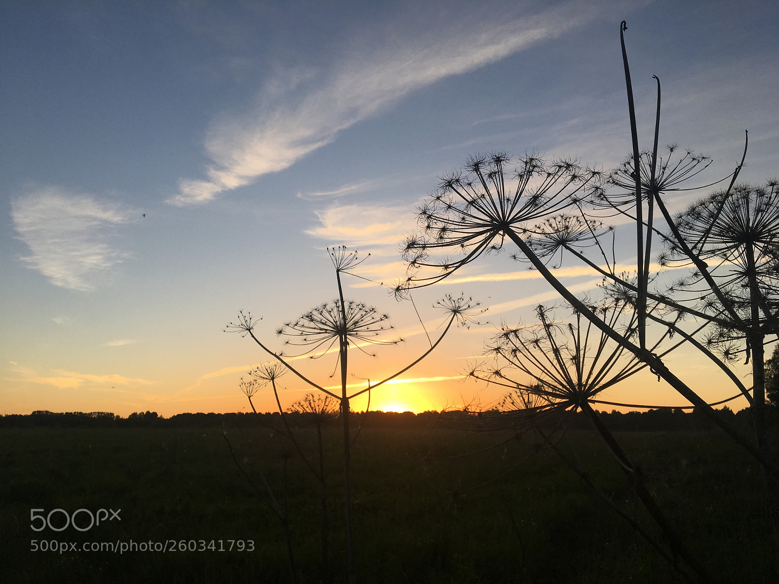 Apple iPhone 6s sample photo. Sunset photography