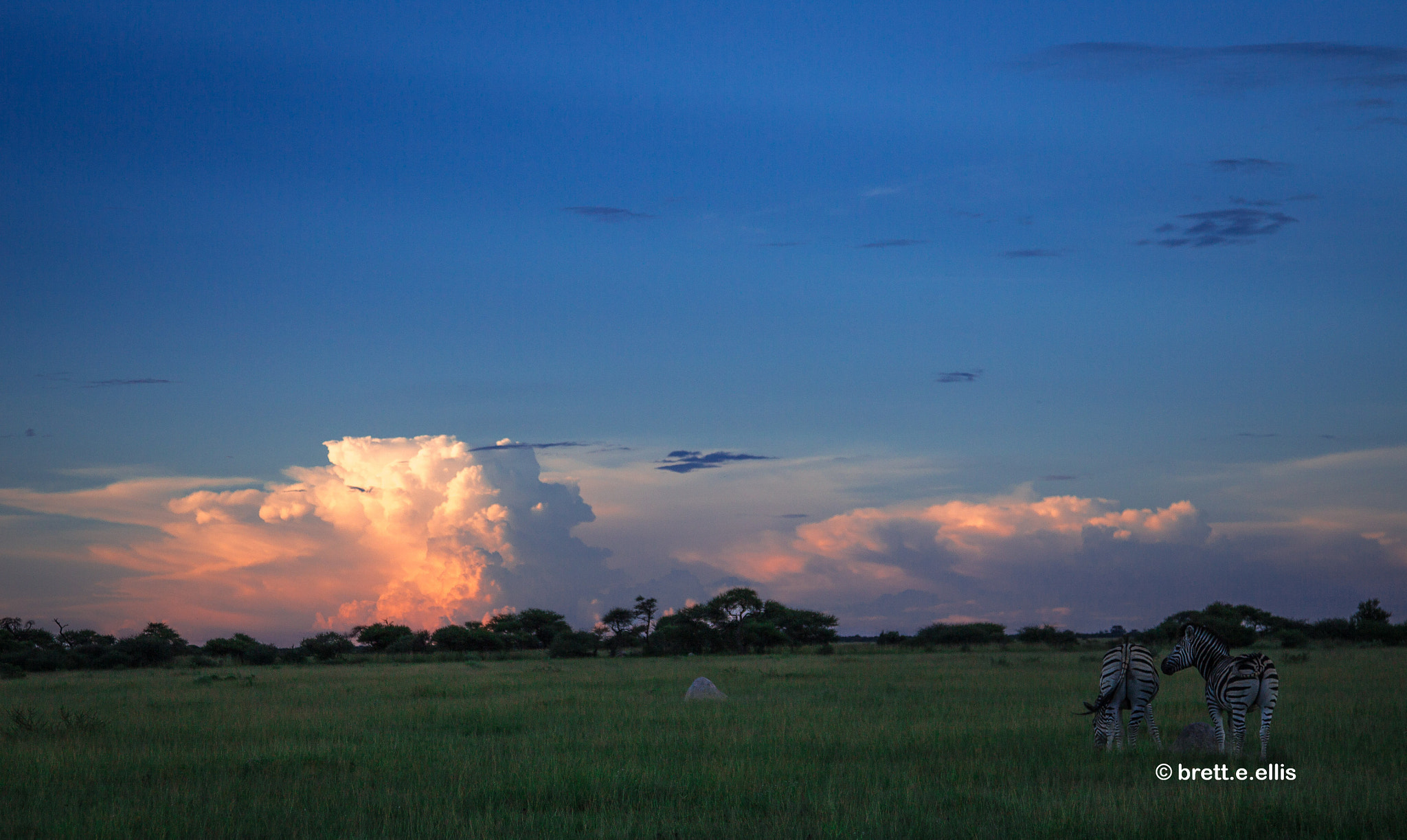 Canon EOS-1D Mark IV sample photo. Thunderstorm brewing over nxai pan, botswana photography