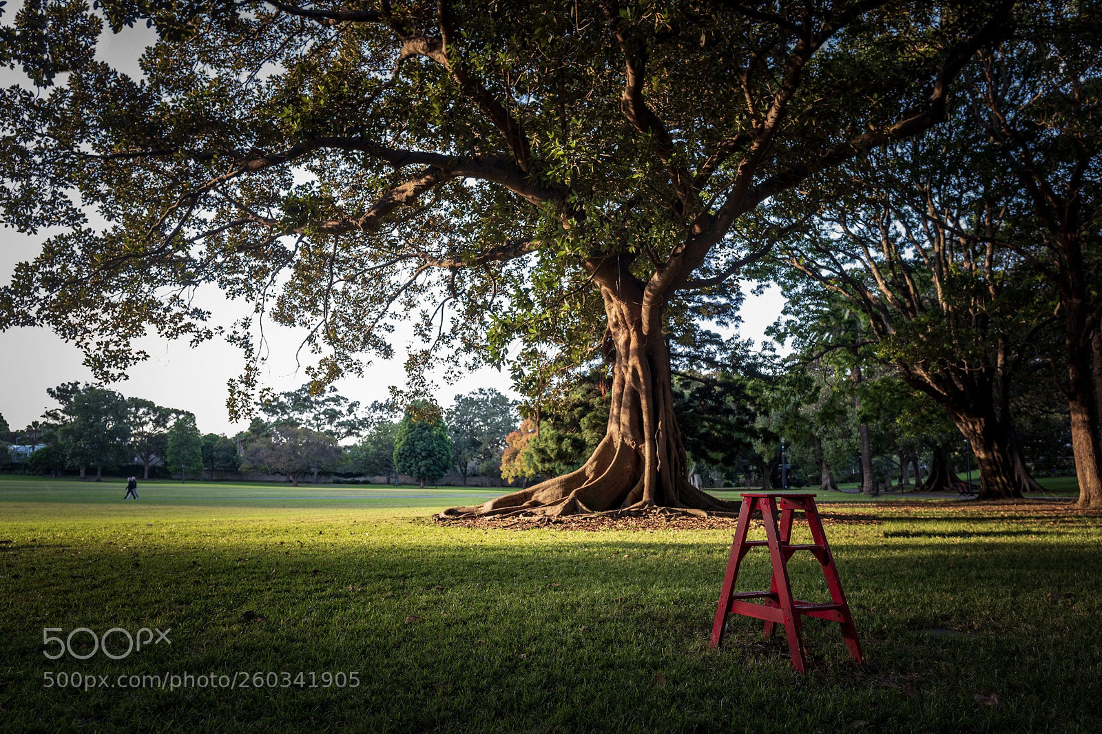 Leica Q (Typ 116) sample photo. The red step photography