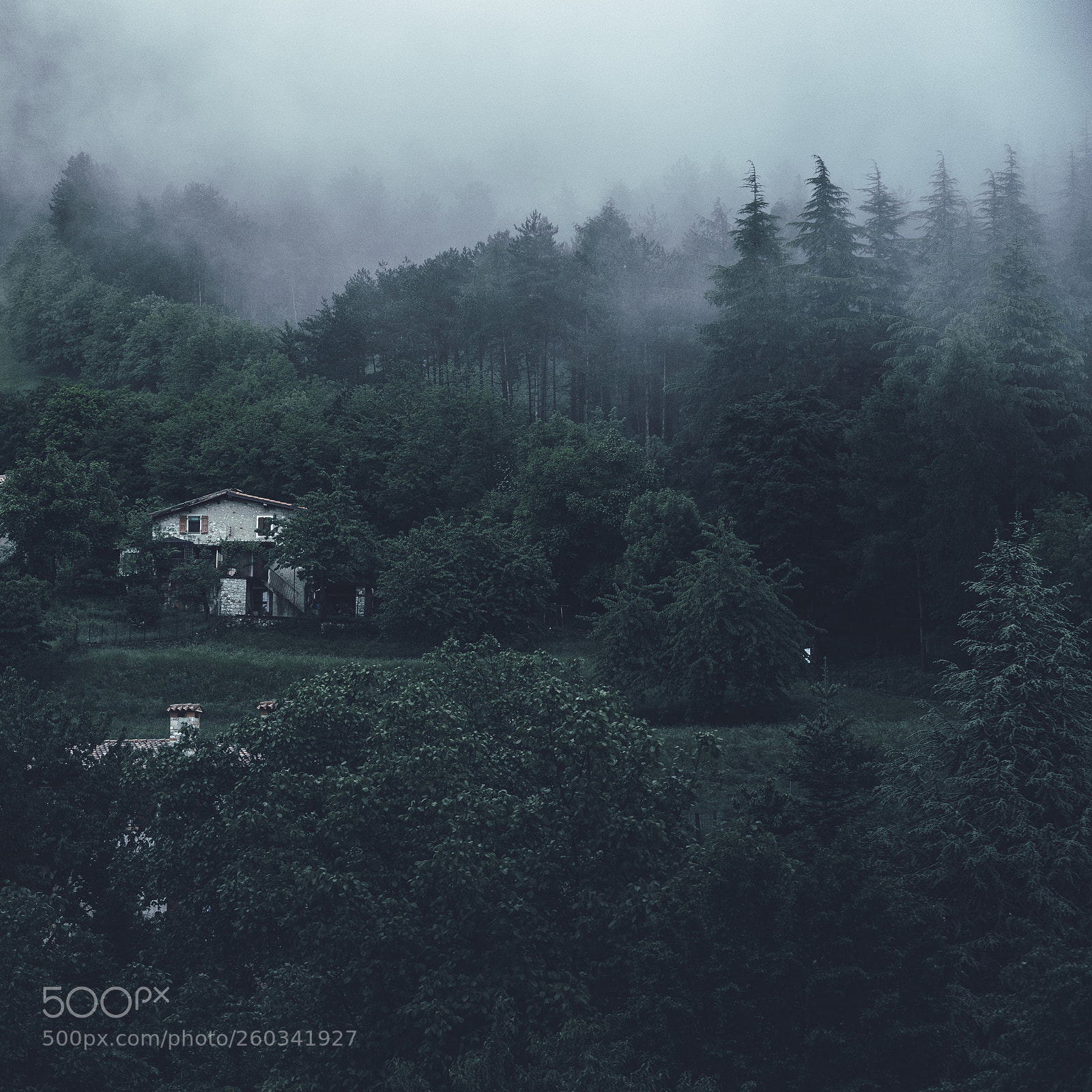 Sony a7 II sample photo. Hideaway photography