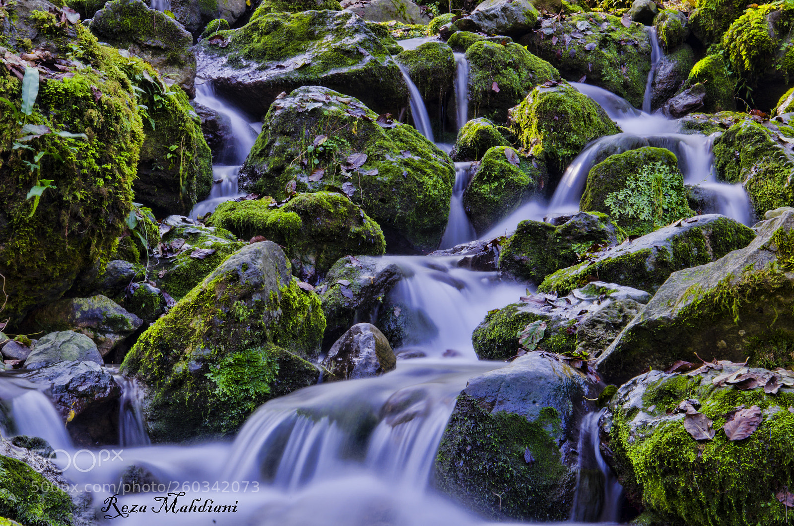 Nikon D7000 sample photo. Untitled photography