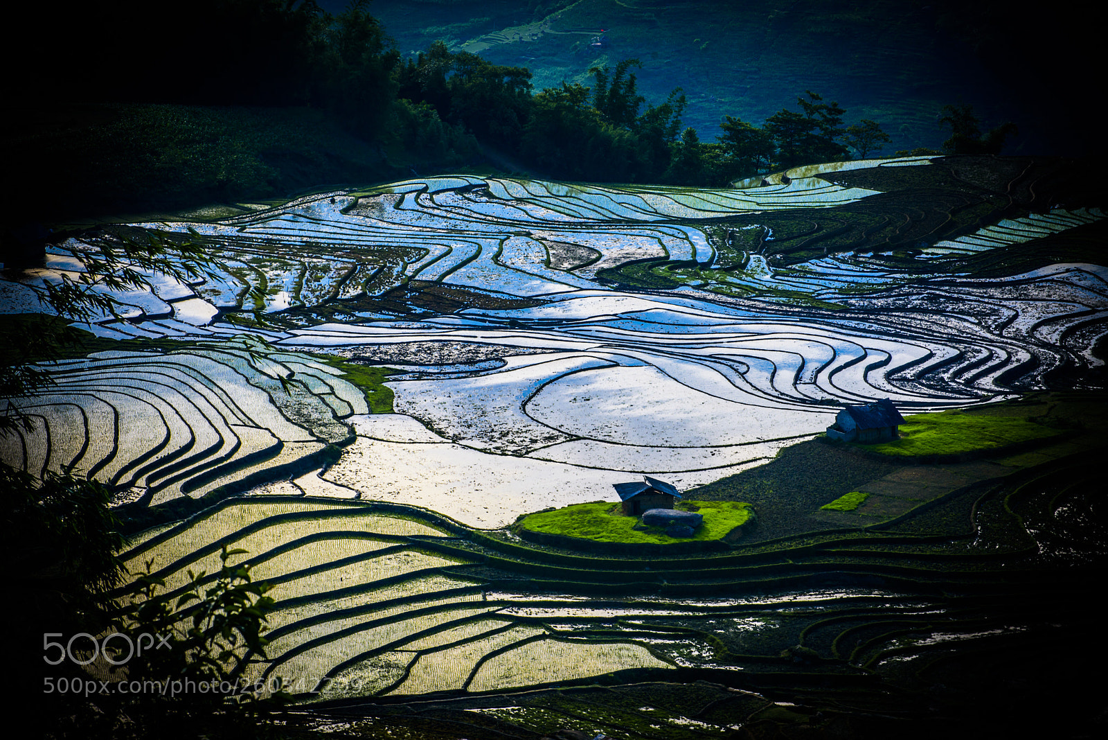 Nikon D750 sample photo. _pnt4555-2.jpg photography