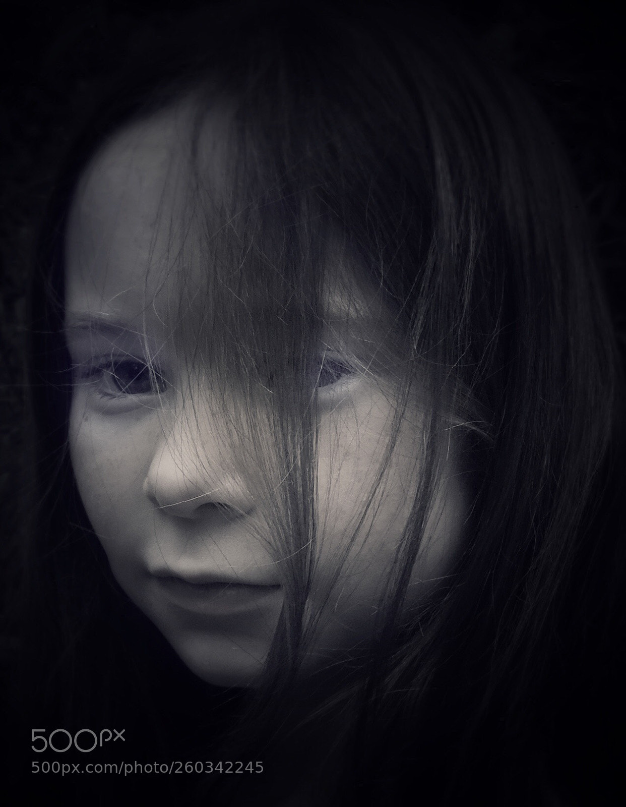 Nikon Coolpix P520 sample photo. Hayden photography