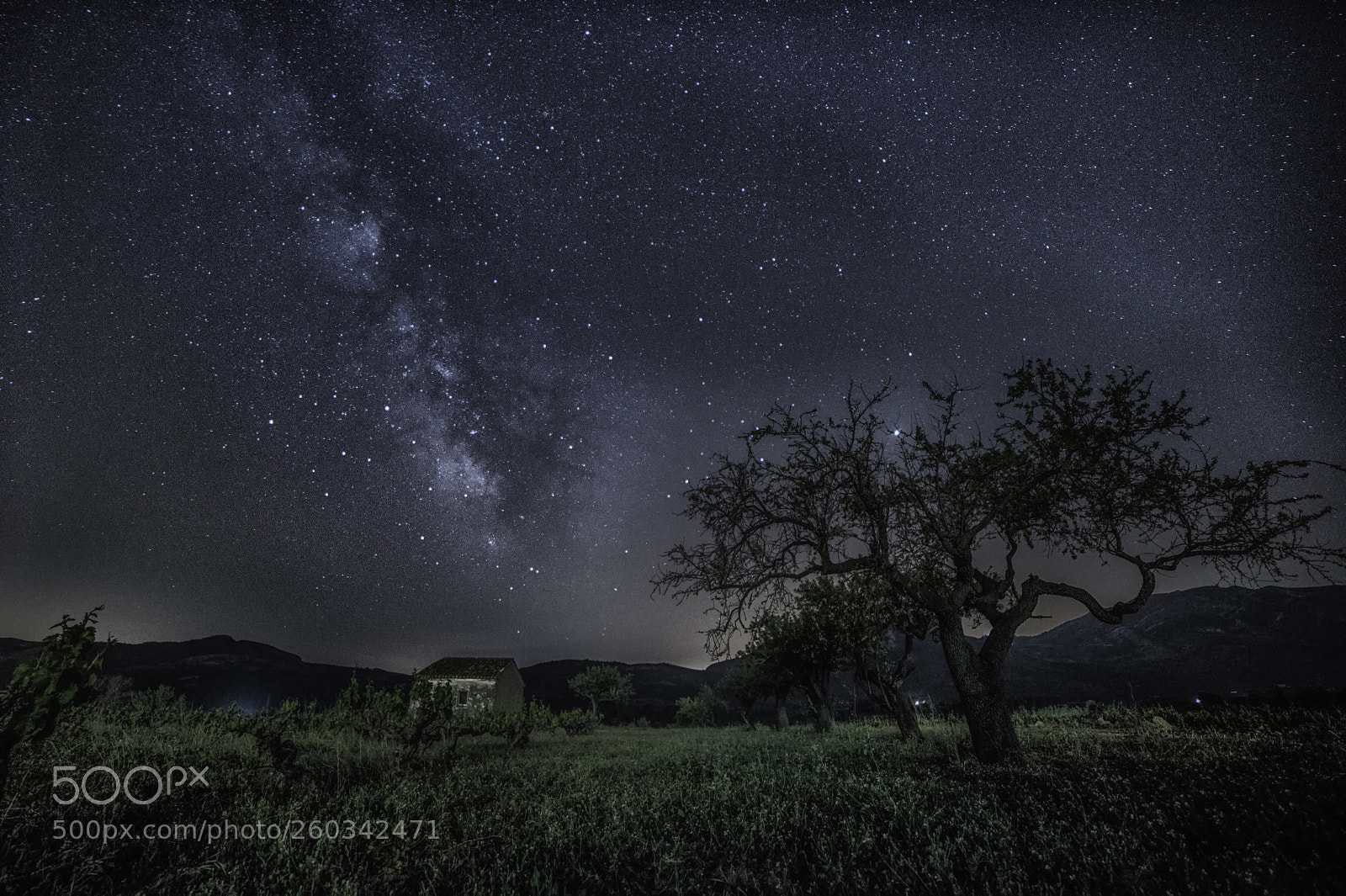 Nikon D810 sample photo. Milky way over the photography