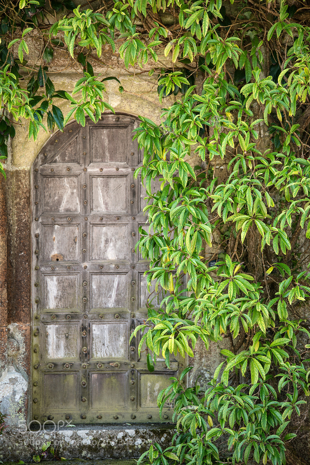 Nikon D800 sample photo. Beautiful vintage victorian mansion photography