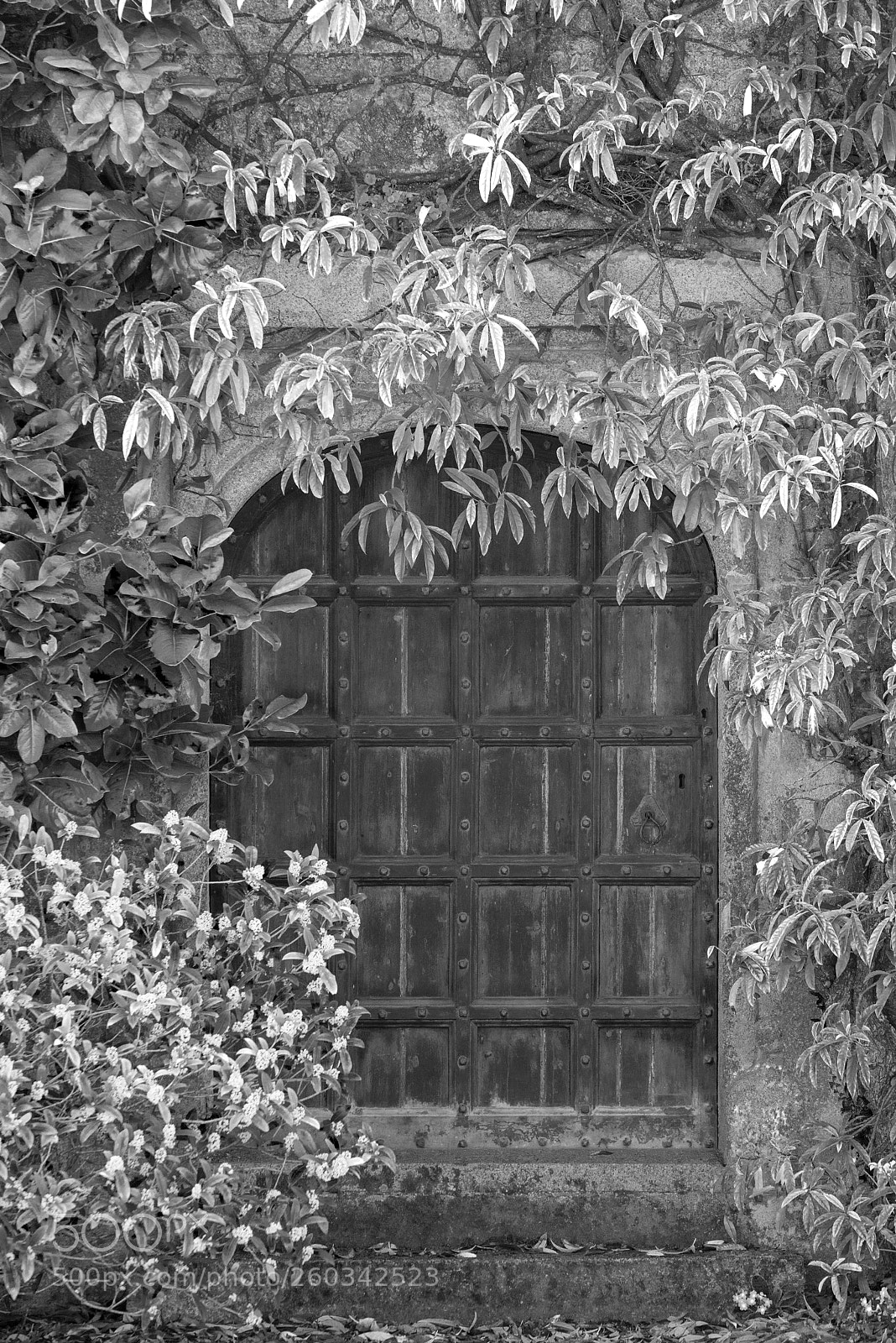 Nikon D800 sample photo. Beautiful vintage victorian mansion photography