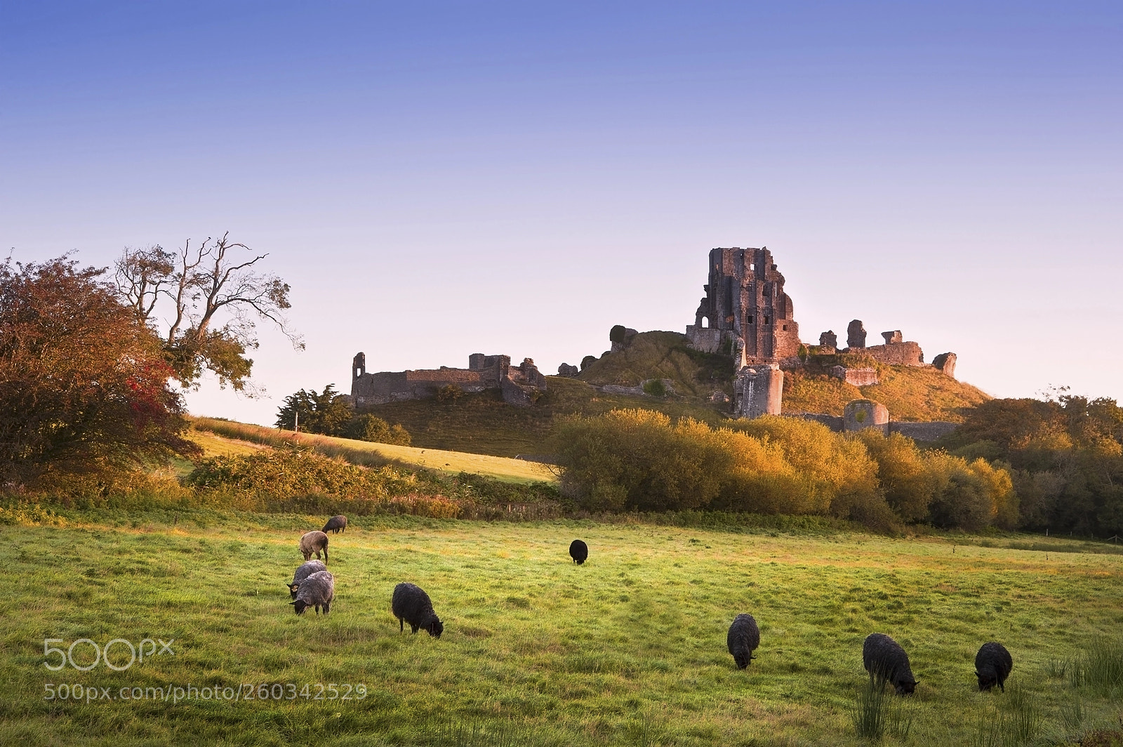 Nikon D700 sample photo. Old medieval castle ruins photography