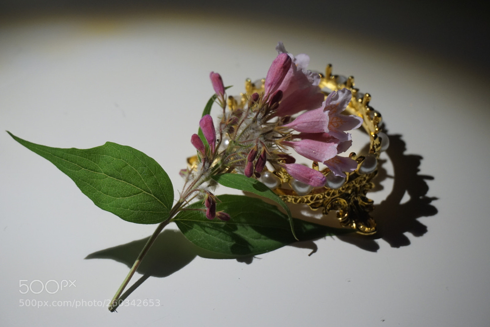 Sony a6000 sample photo. Untitled photography