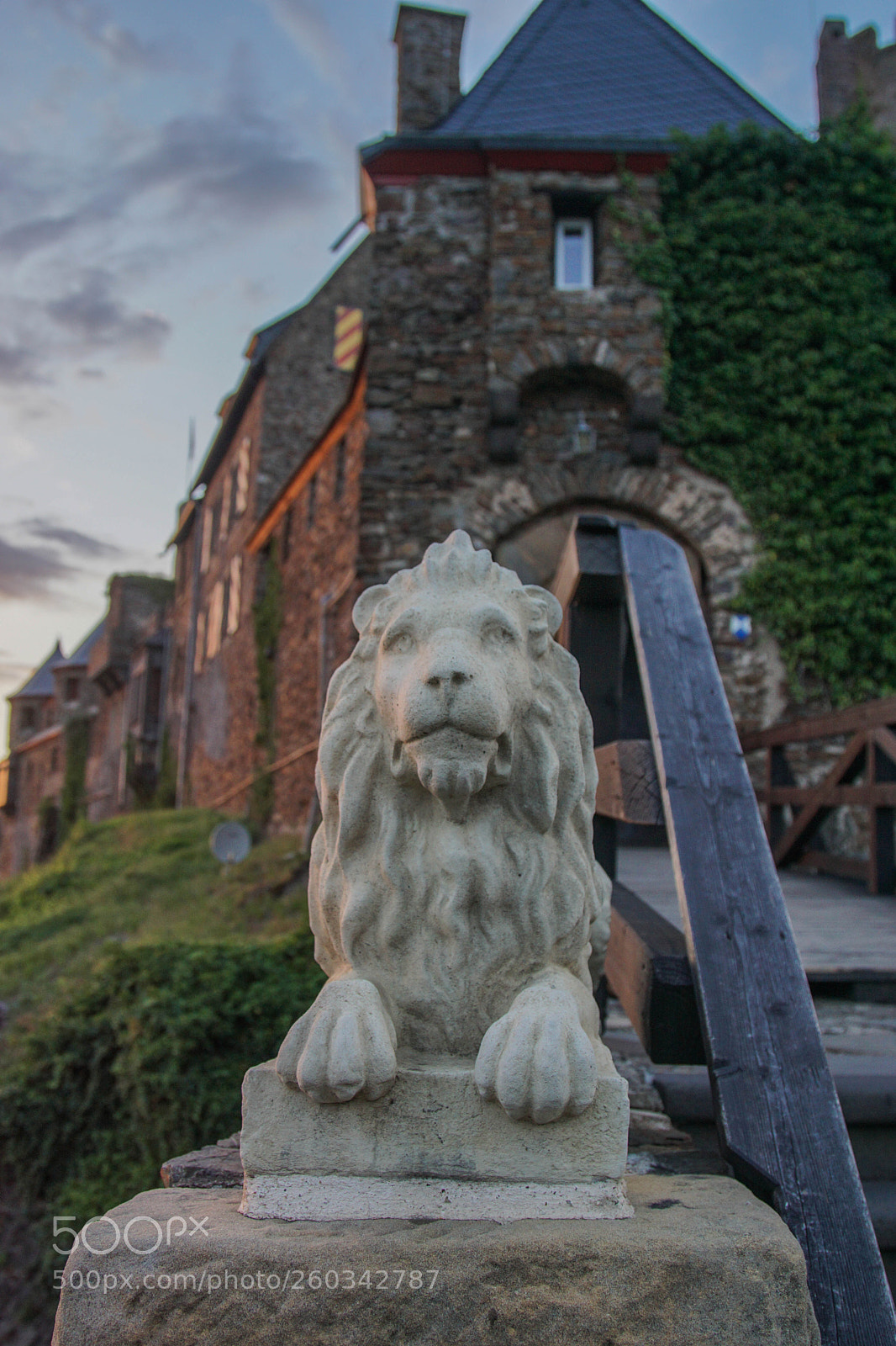 Sony a6000 sample photo. The lion sleeps tonight photography